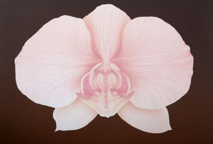 Orchid Matrix II