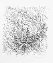 Drawing on the Line Portfolio (complete)