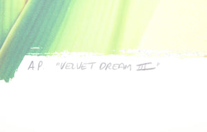 Velvet Dream III