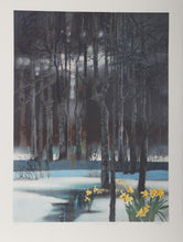 Early Spring Forest (Chris Evert-Lloyd)