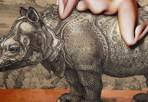 Leta on Durer's Rhinos