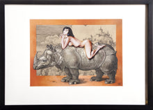 Leta on Durer's Rhinos