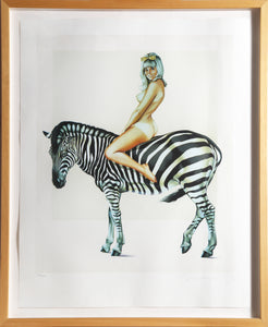 Zebra