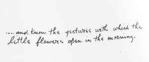 The Gestures of the Little Flowers from the Rilke Portfolio