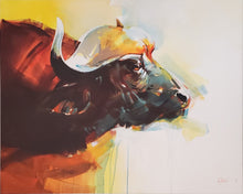 Cape Buffalo