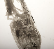 Sechsunddreißig Handschiche