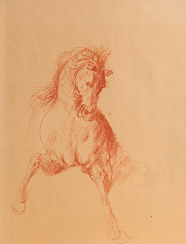 Horse Study