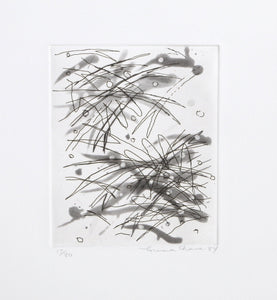 A Portfolio of Six Etchings Etching | Louisa Chase,{{product.type}}