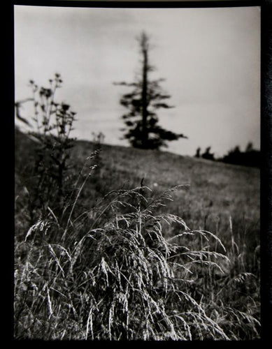 A Walk Through Mionsi Black and White | Josef Sudek,{{product.type}}