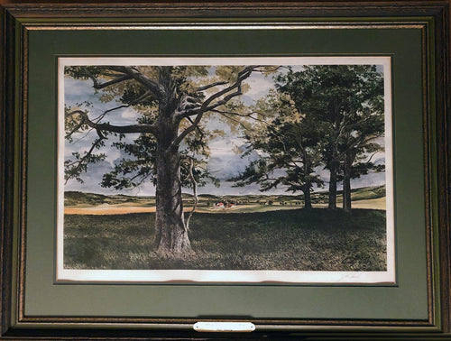 Above the Fruited Plain Poster | John Chumley,{{product.type}}