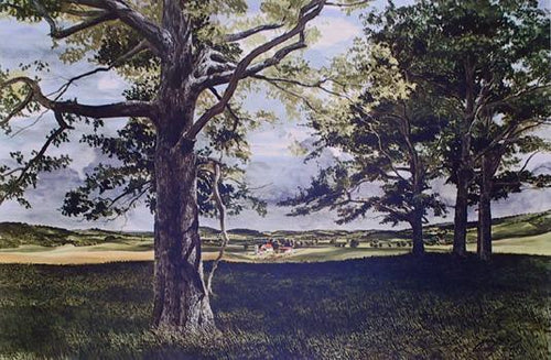 Above the Fruited Plain Poster | John Chumley,{{product.type}}