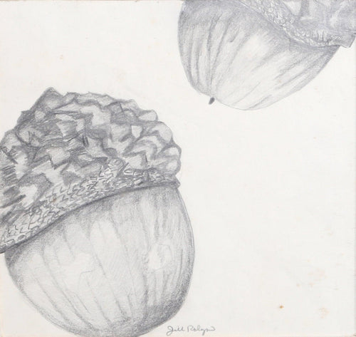 Acorns Pencil | Jon Robyn,{{product.type}}
