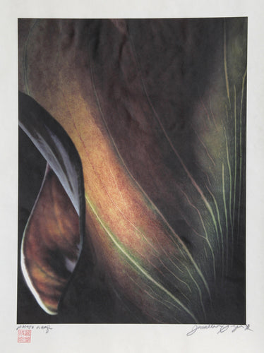 African Lea (Photo Nuage) Color | Jonathan Singer,{{product.type}}