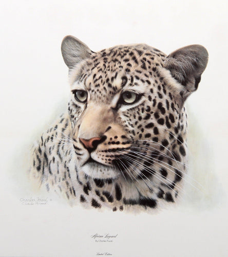 African Leopard Lithograph | Charles Fracé,{{product.type}}