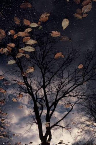 After the Storm Color | Robert Gambee,{{product.type}}