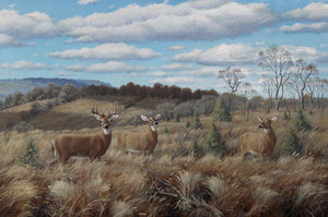 Afternoon watch (White Tailed Deer) Oil | Marcel Bordei,{{product.type}}