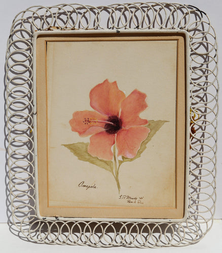 Amapola - Puerto Rico Watercolor | G.R. Moody,{{product.type}}