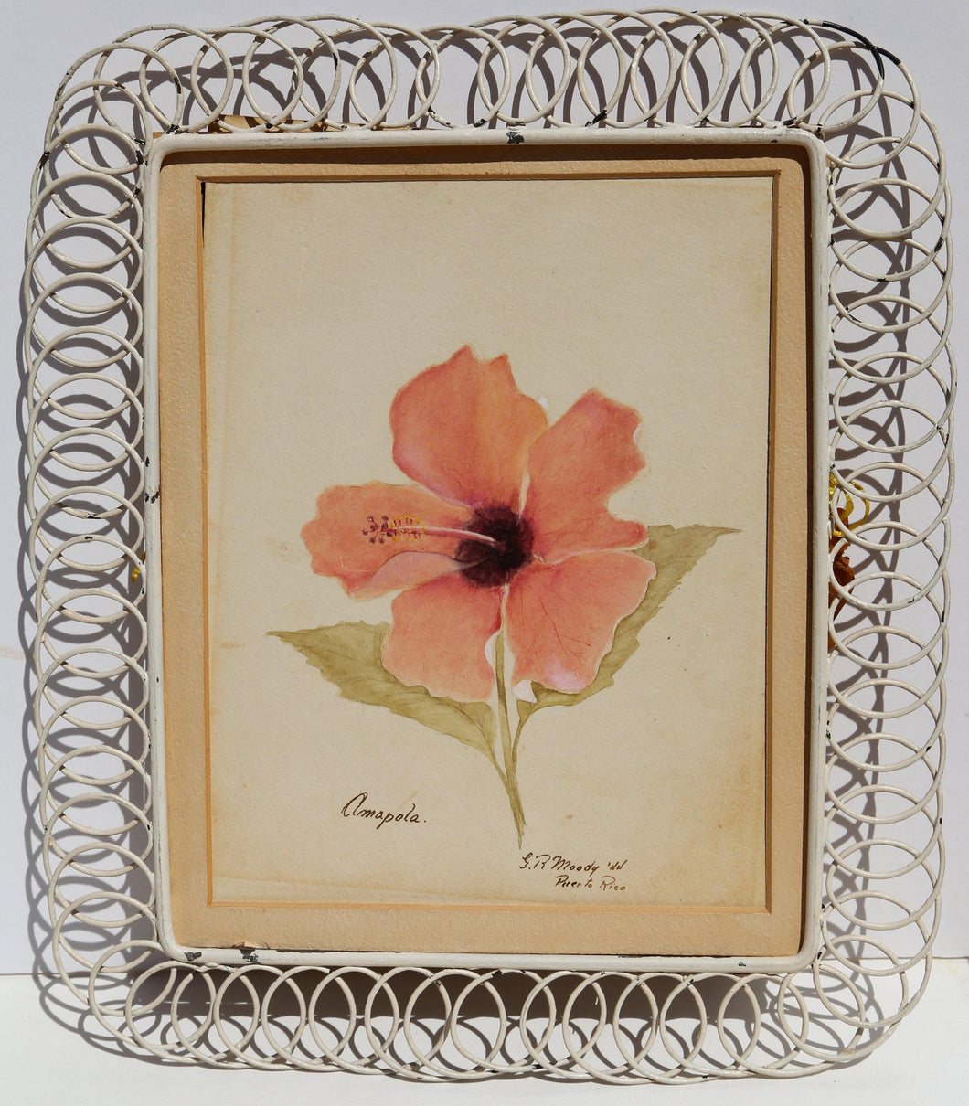 Amapola - Puerto Rico Watercolor | G.R. Moody,{{product.type}}