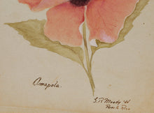 Amapola - Puerto Rico Watercolor | G.R. Moody,{{product.type}}