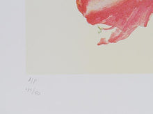 Amaryllis Lithograph | Carol Ann Bolt,{{product.type}}
