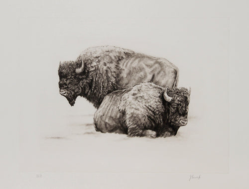 American Buffalo Etching | Joseph Vance,{{product.type}}
