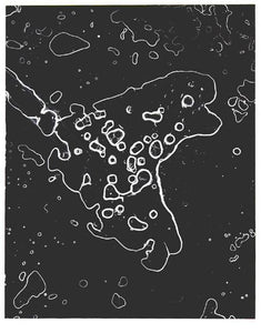 Amoeba (Microscope) Black and White | H. Millington,{{product.type}}