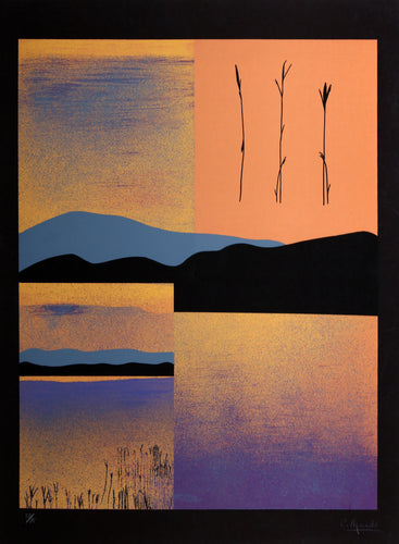 Analitica 1 Screenprint | Carmen Aguade,{{product.type}}