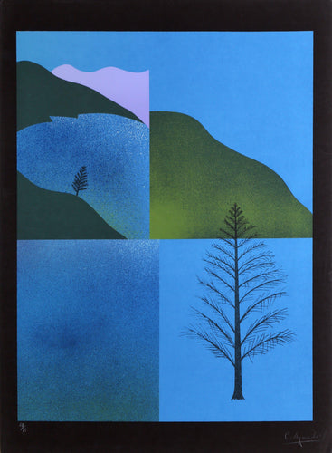 Analitica 2 screenprint | Carmen Aguade,{{product.type}}