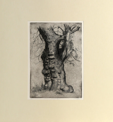 Ancient Apple Etching | Sheldon 'Shelly' Fink,{{product.type}}