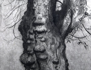 Ancient Apple Etching | Sheldon 'Shelly' Fink,{{product.type}}