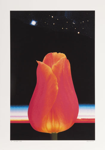 Ancient Gold Digital | Michael Knigin,{{product.type}}