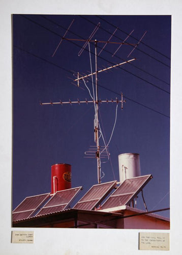 And They Shall Tell it to the Inhabitants of the Land Color | Theodore Cohen,{{product.type}}