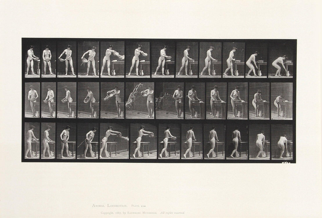 Animal Locomotion. plate 402 Etching | Eadweard Muybridge,{{product.type}}