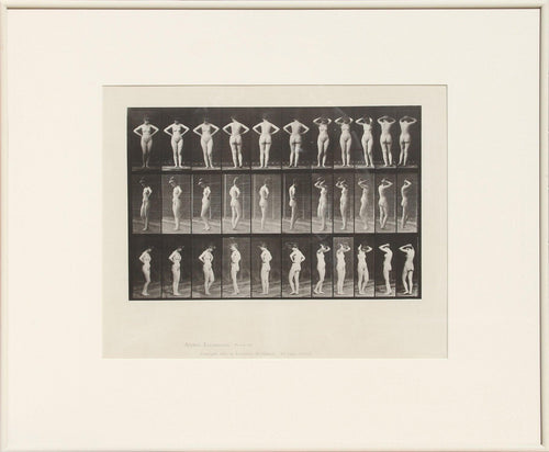 Animal Locomotion, plate 531 Etching | Eadweard Muybridge,{{product.type}}