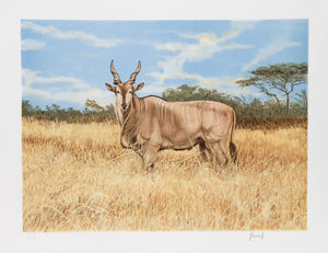 Antelope Lithograph | Joseph Vance,{{product.type}}