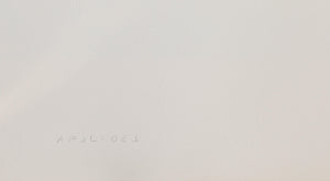 Apolides monoprint | Lucio Pozzi,{{product.type}}