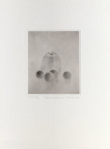 Apple och Plommon (Apple and Plums) Etching | Gunnar Norrman,{{product.type}}