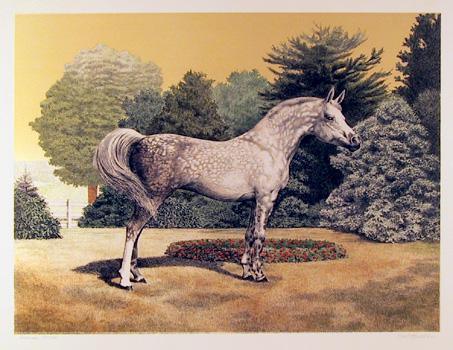 Arabian Lithograph | Mel Hunter,{{product.type}}