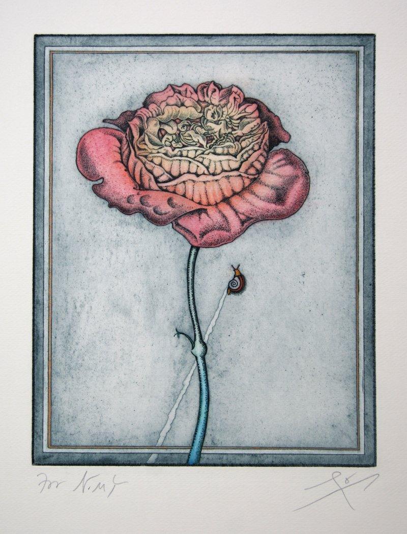 Arboretum (with Snail) Etching | Tighe O'Donoghue,{{product.type}}