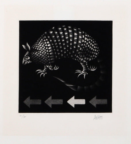 Armadillo Etching | Mario Avati,{{product.type}}