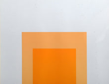 Artic Bloom from Homage to the Square Screenprint | Josef Albers,{{product.type}}