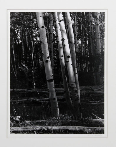 Aspen, Colorado Black and White | Thomas McCartney,{{product.type}}