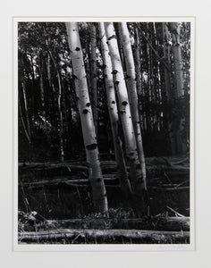 Aspen, Colorado Black and White | Thomas McCartney,{{product.type}}