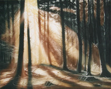 Autumn Forest Etching | Susan Jameson,{{product.type}}