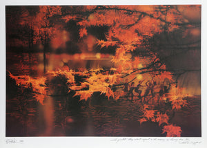 Autumn Leaves (Frank Gifford) Poster | Robert Peak,{{product.type}}