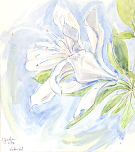 Azalea Watercolor | Charles Blaze Vukovich,{{product.type}}
