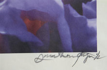 Backlit Purple Flowers Color | Jonathan Singer,{{product.type}}