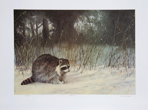 Bandit (Raccoon) Lithograph | M. Barker,{{product.type}}
