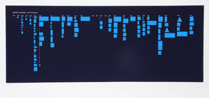 Barnett Newman: The Paintings (Blue) Screenprint | David Diao,{{product.type}}