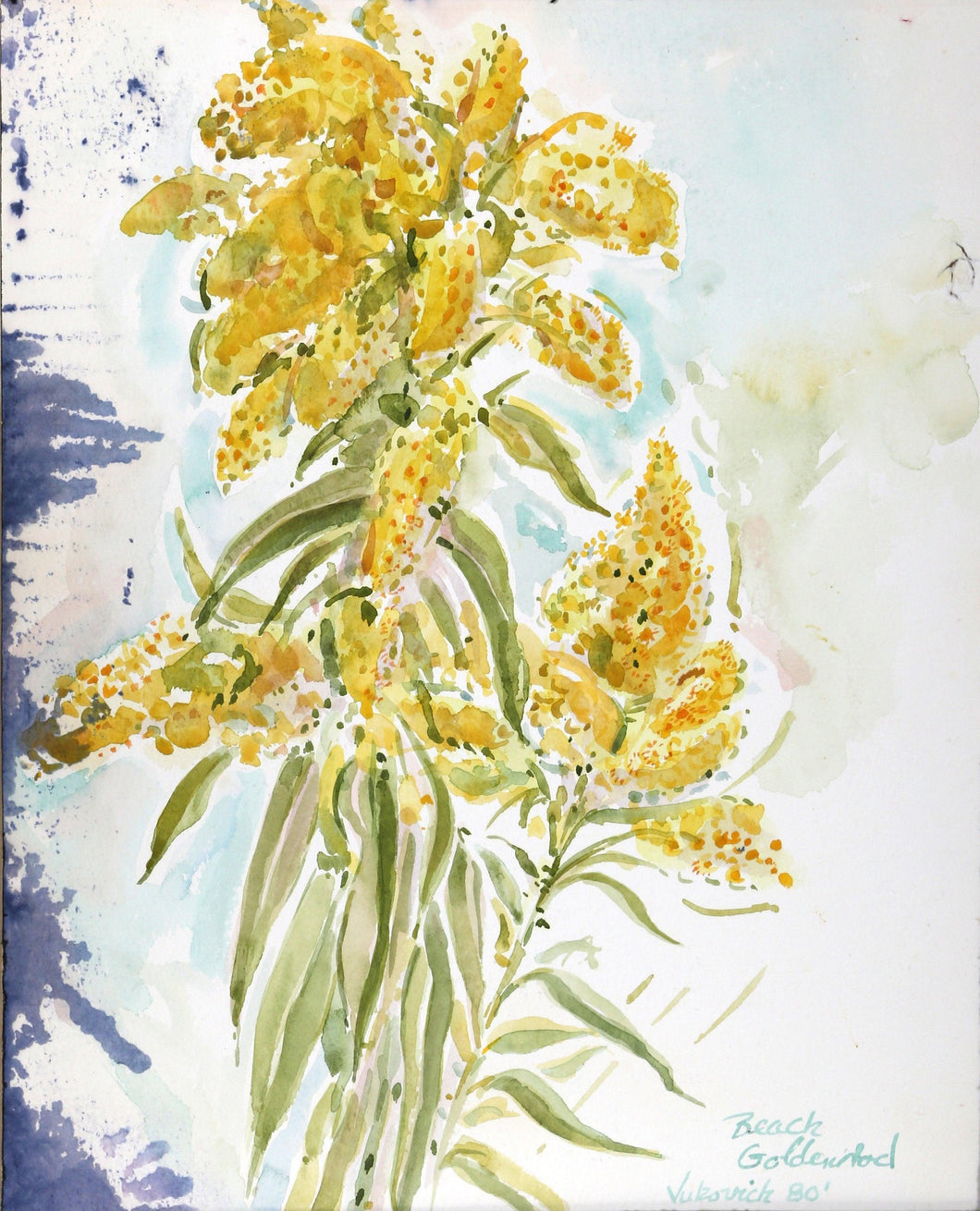 Beach Goldenrod I Watercolor | Charles Blaze Vukovich,{{product.type}}